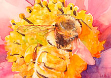Bee - Watercolour